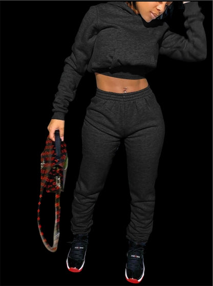 Casual 2pcs Crop Top or Regular Hooded Collar Set